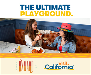 VCA_LP_Oxnard_300x250-2 Sample leveraged media banner