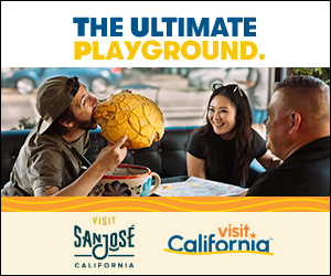 VCA_LP_SANJOSE_300x250-3 Sample leveraged media banner